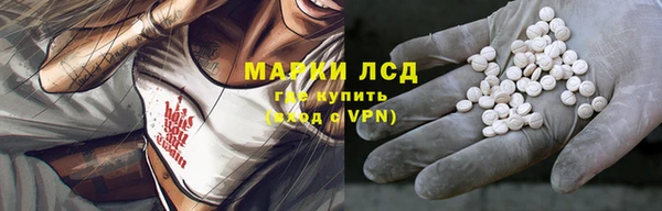 тгк Магас