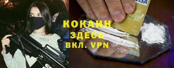 молекула духа Майский