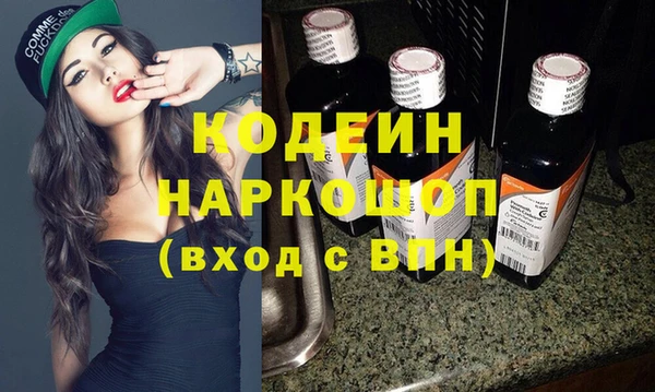 молекула духа Майский