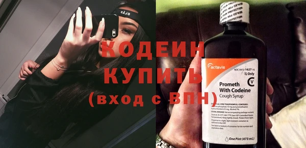 молекула духа Майский