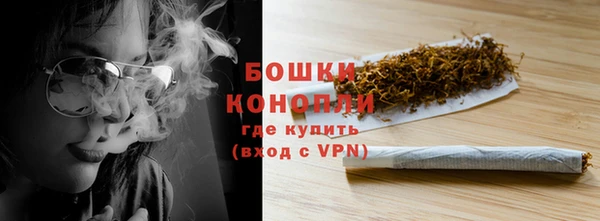 молекула духа Майский
