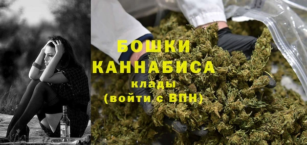 молекула духа Майский