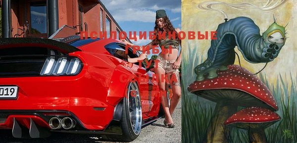 молекула духа Майский