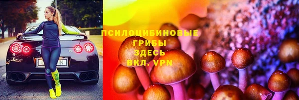 тгк Магас
