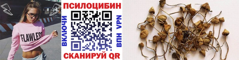 Галлюциногенные грибы мухоморы  Купить где  Покров 